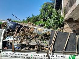 Professional Junk Removal Services in Brunswick, GA